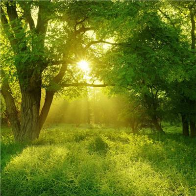 AOA体育登录入口